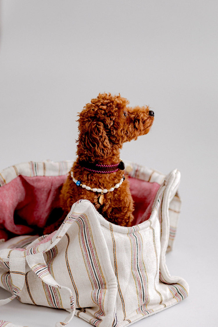 Verano Dog Shopper - Ibiza - Pink - Pintu