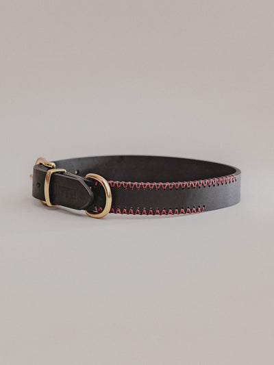 Pintu Dog Collar Monte - Black/Bordeaux - Brass
