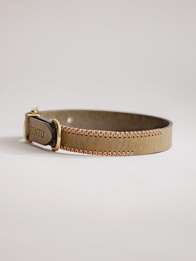 Pintu Dog Collar Porthos - Olive/Coral - Brass