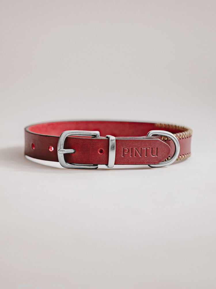 Pintu Dog Collar Porthos - Cherry/Gold - Stainless Steel
