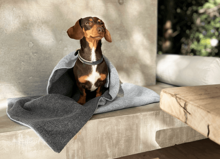 Escondida Dog Sleeping Bag - Pintu