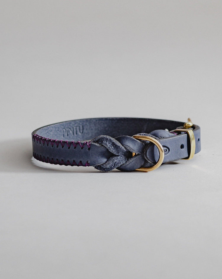 Dog Collar Atlas - Navy/Purple - Pintu