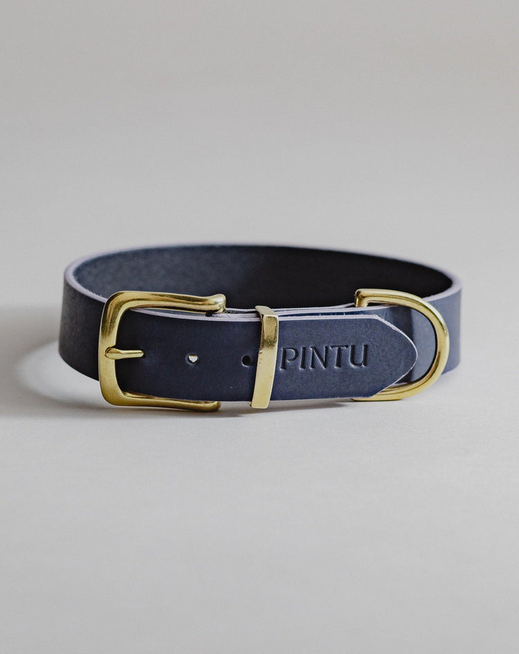 Dog Collar Monte - Navy/Lavender - Pintu