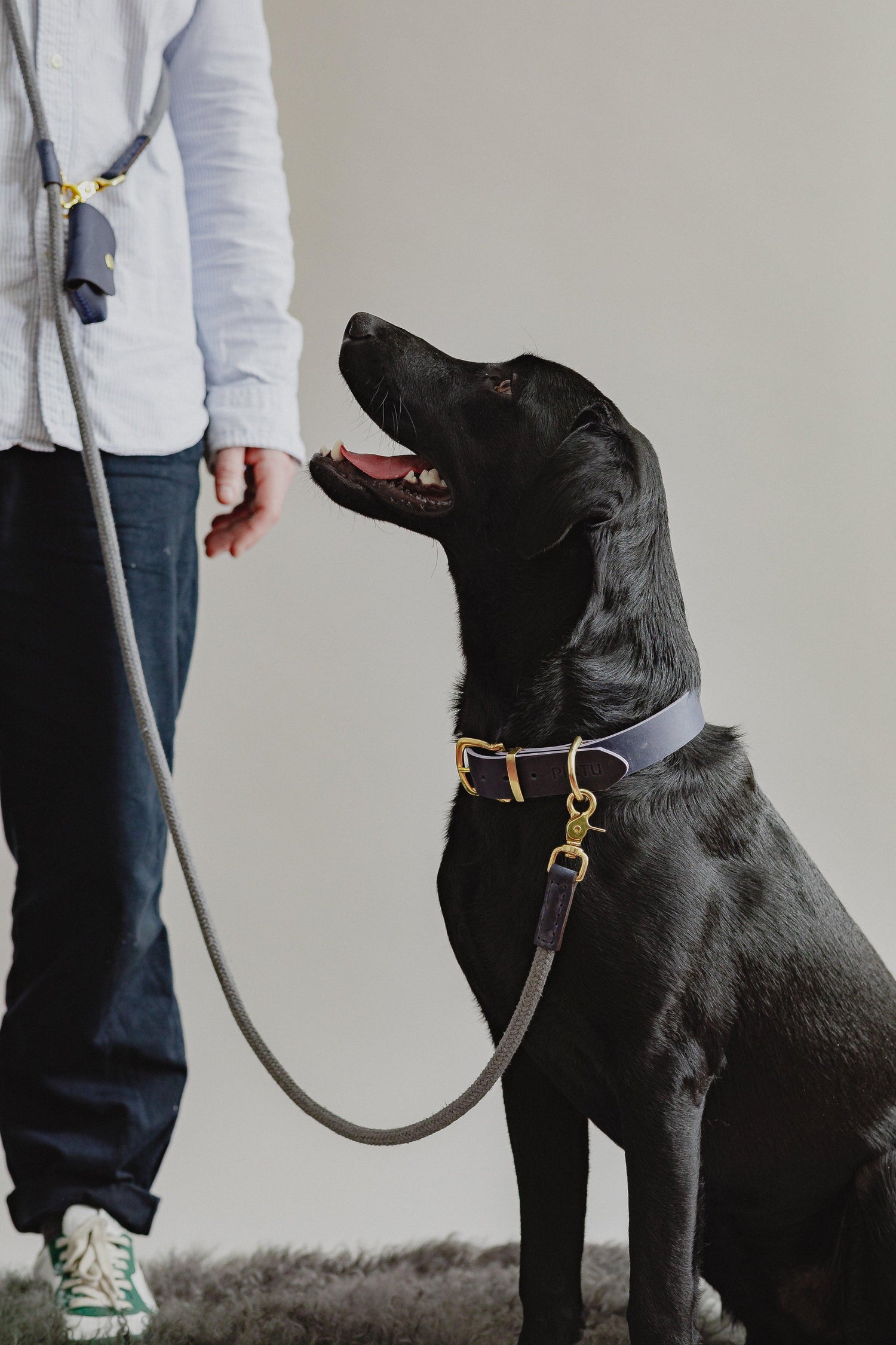 Dog Leash Tierra - Grey/Navy - Pintu