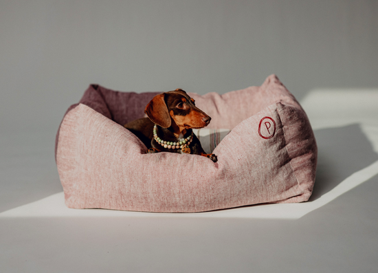 Dulces Sueños Dog Bed - Grapefruit - Pintu