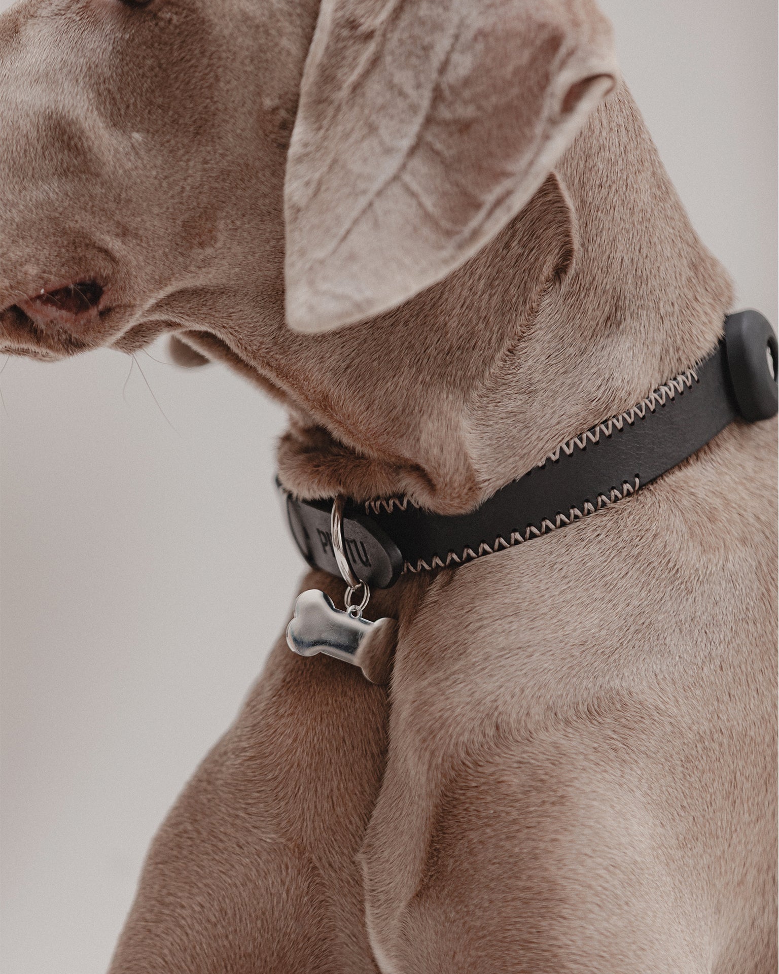 Collars