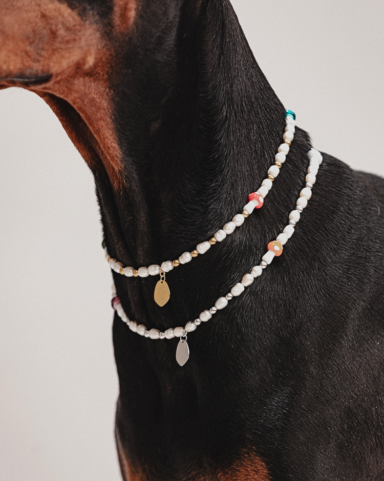 Hundeketten