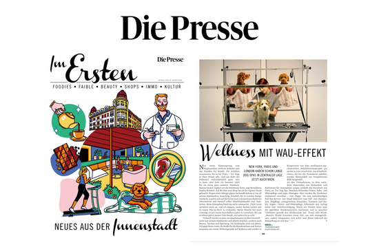 IM ERSTEN - DIE PRESSE