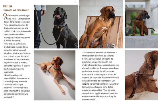 DOGGY MAGAZINE