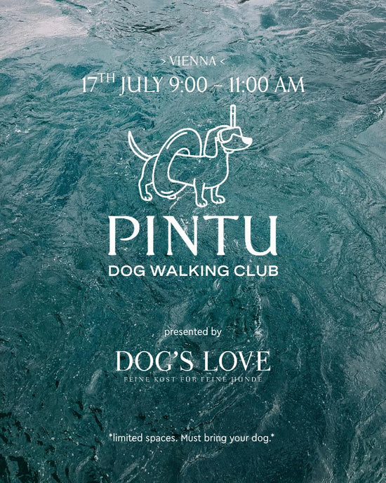 Dog Walking Club Vienna | 17th of July | Summer Edition with Dogs Love