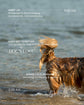 Dog Walking Club Vienna | 17th of July | Summer Edition with Dogs Love
