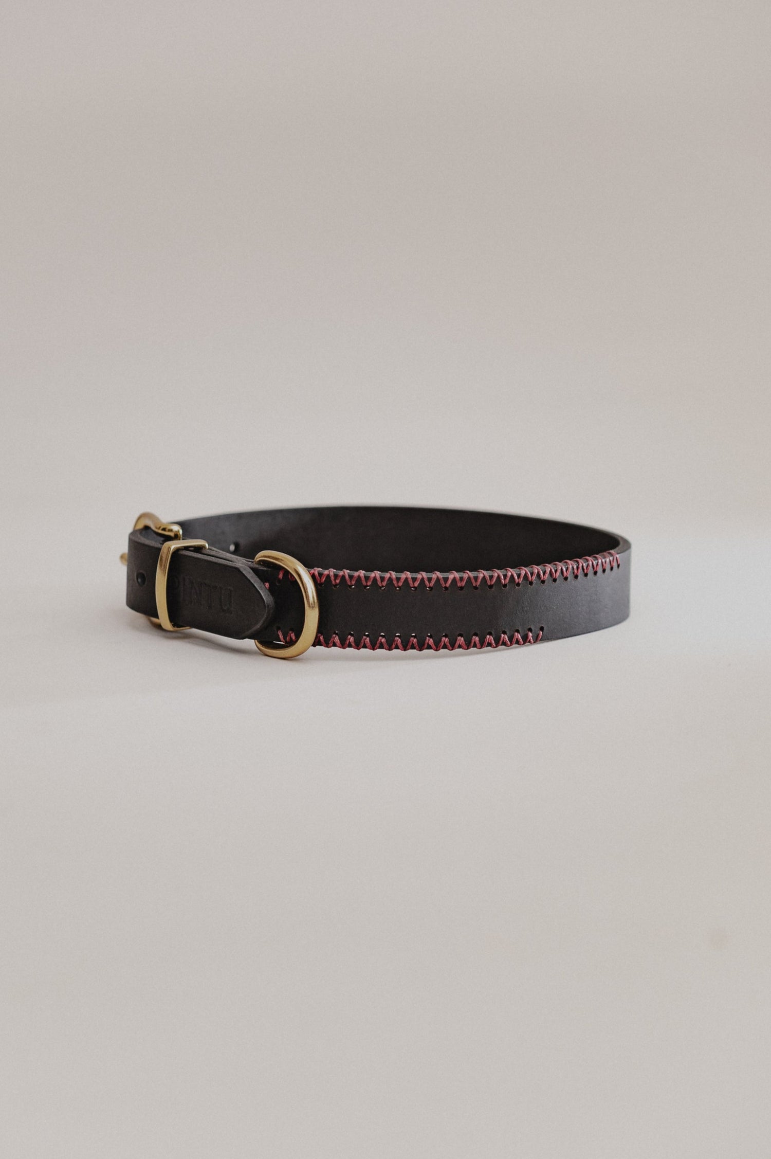 Dog Collar Porthos - Black/Bordeaux - Brass