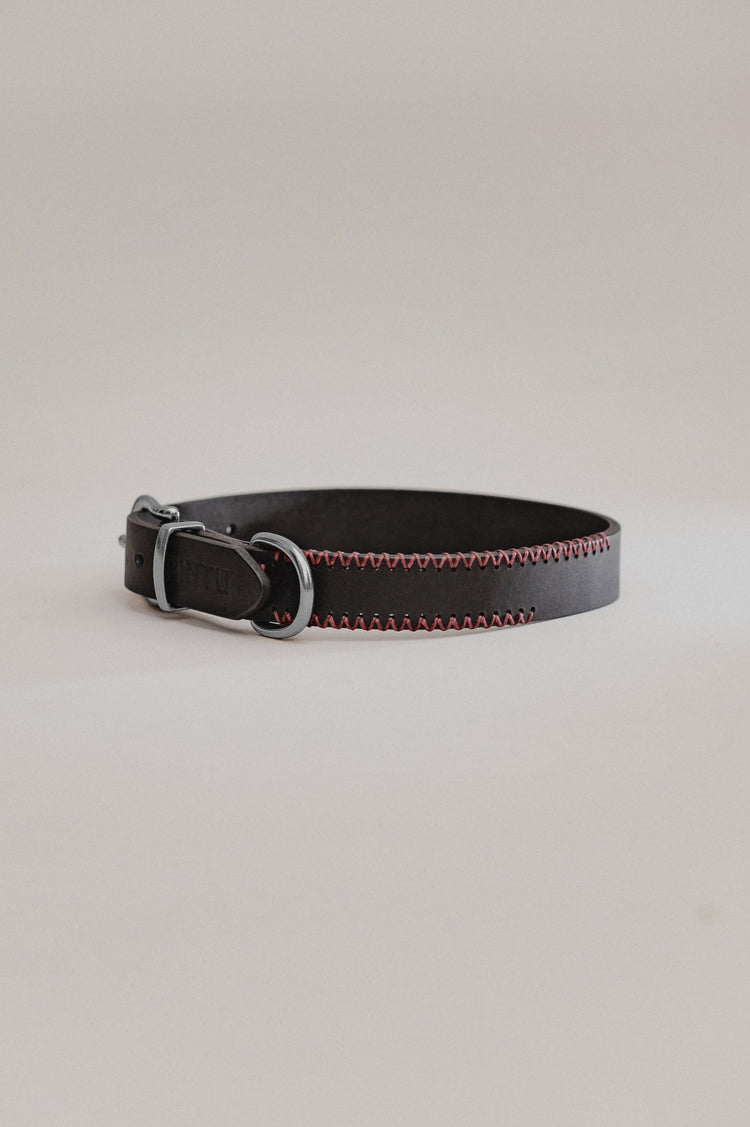 Dog Collar Porthos - Black/Bordeaux - Stainless Steel