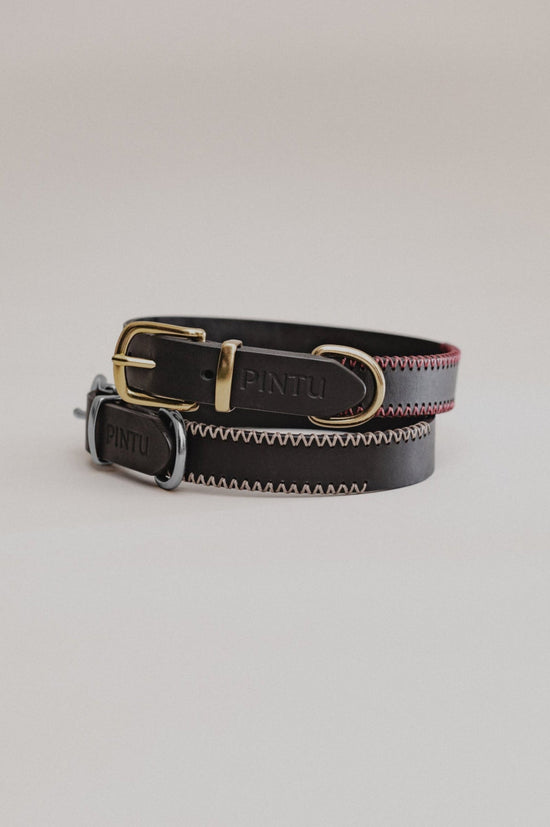 Dog Collar Porthos - Black - Pintu