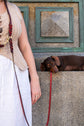 Dog Leash Lumas Adjustable - Cherry
