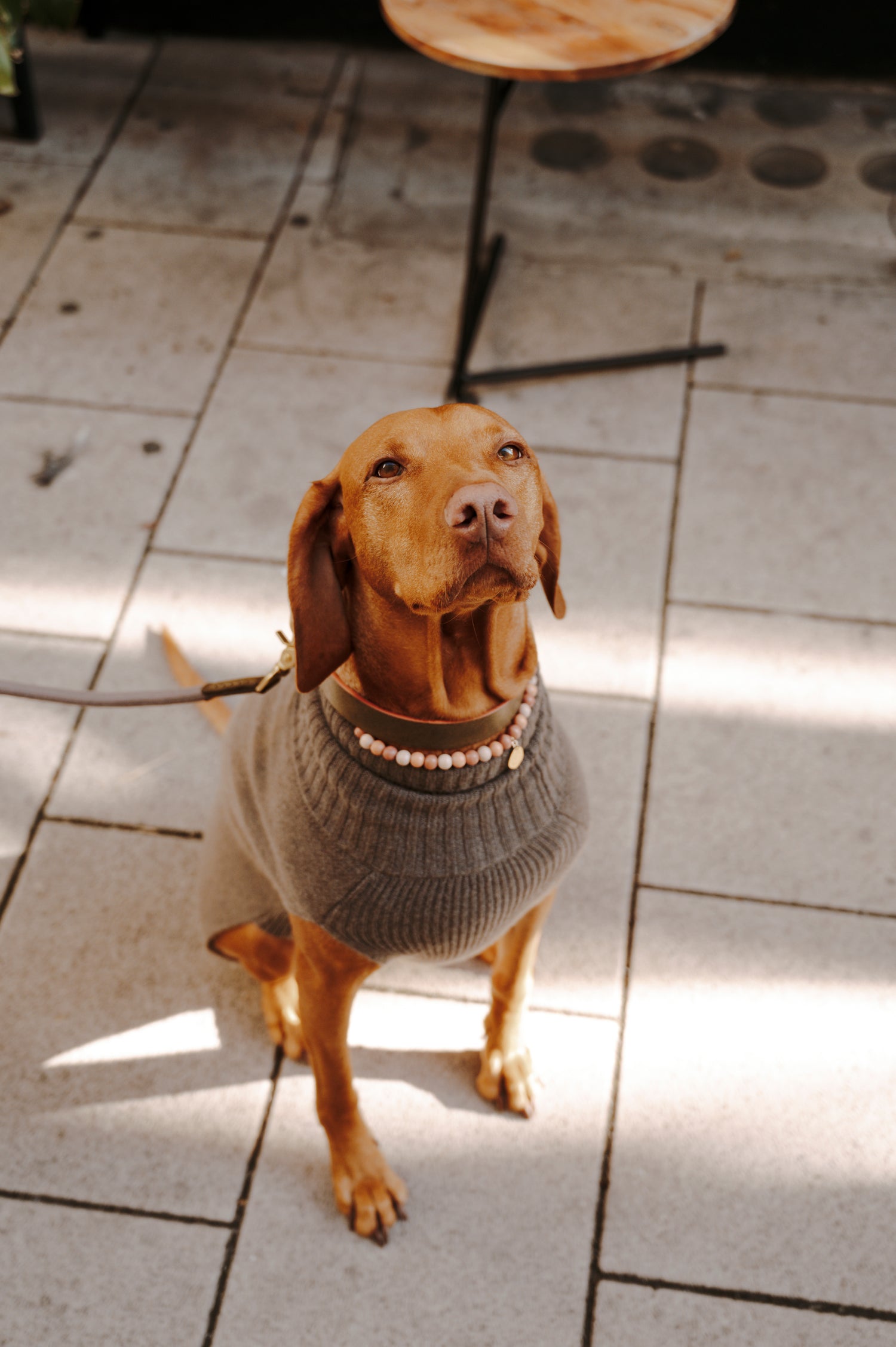 Monte Dog Collar Olive – Handmade with High-Quality Leather – Pintu