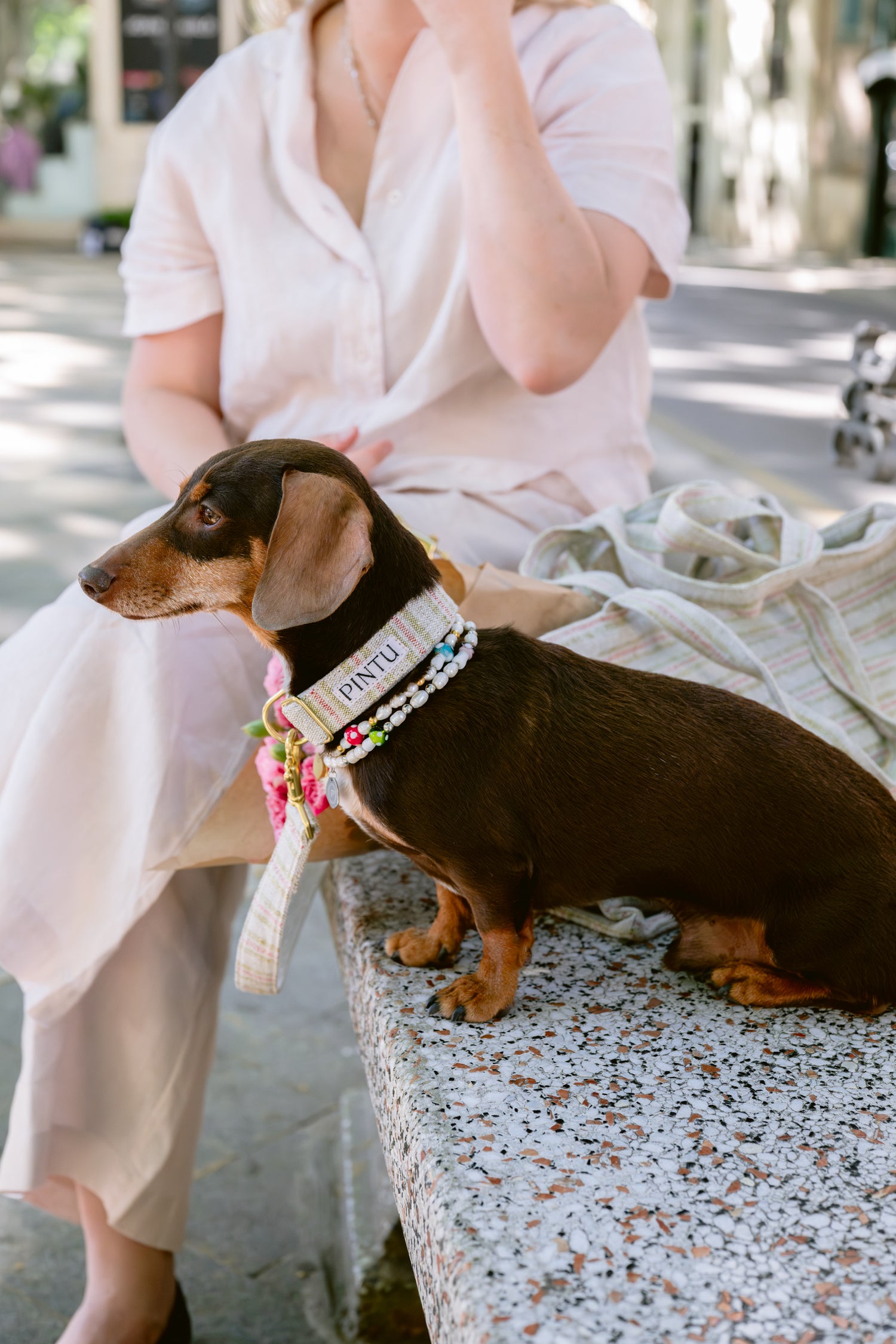 Pintu Leash & Collar Alma Red & Green Stripes