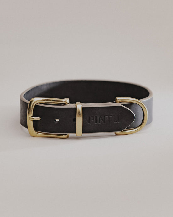Pintu Collar Monte Black Brass