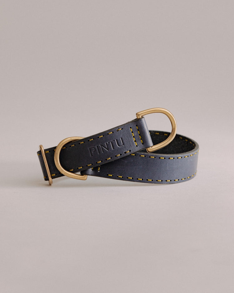 Pintu Dog Collar Bosque - Navy - Brass