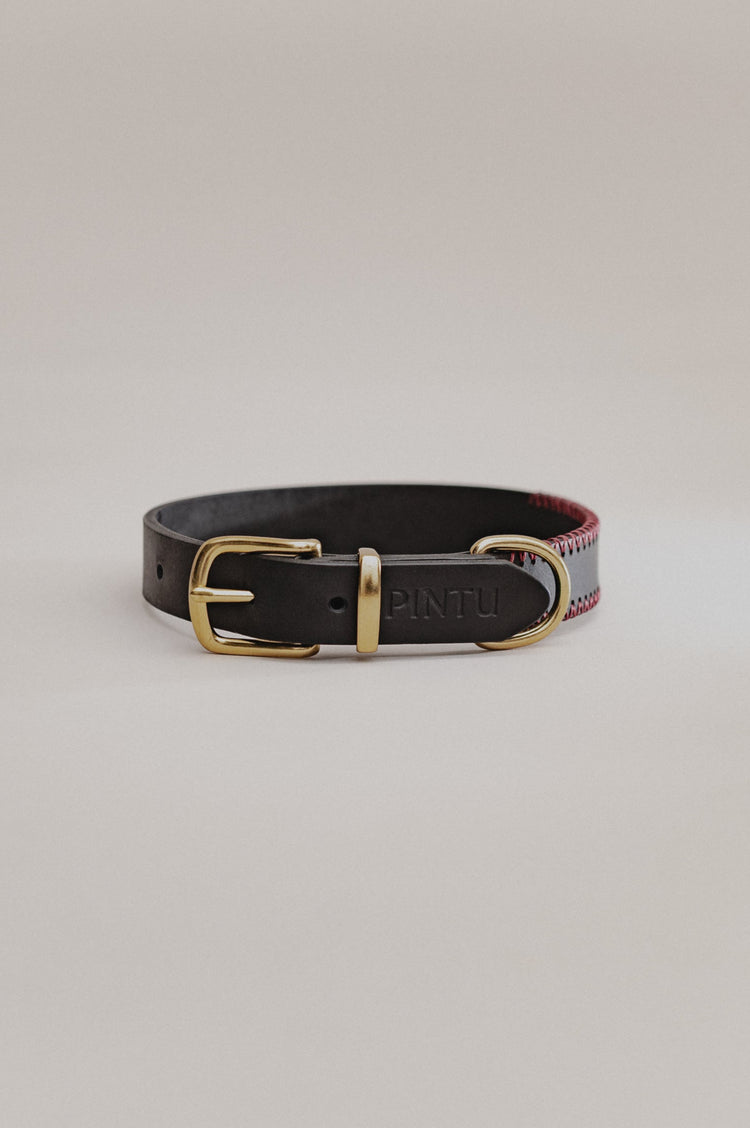 Pintu Dog Collar Porthos - Black/Bordeaux - Brass