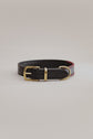 Pintu Dog Collar Porthos - Black/Bordeaux - Brass