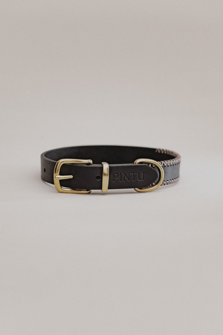 Pintu Dog Collar Porthos - Black/Taupe - Brass