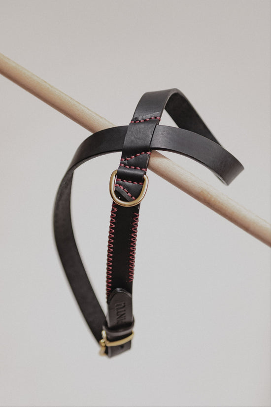 Pintu Dog Harness Flynn - Black/Bordeaux - Brass
