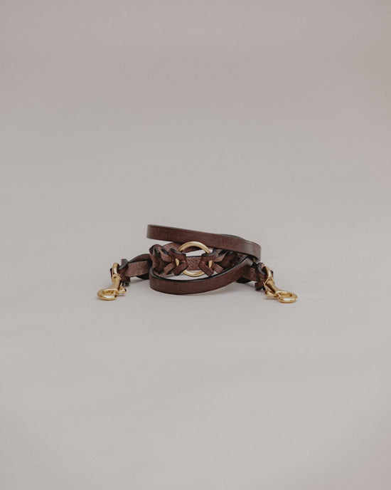 Pintu Double Dog Leash Extension Chocolate Brass