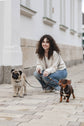 Pintu Double Dog Leash Extension Mood Chocolate Brass