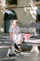 Pintu Leash & Collar Alma Berry