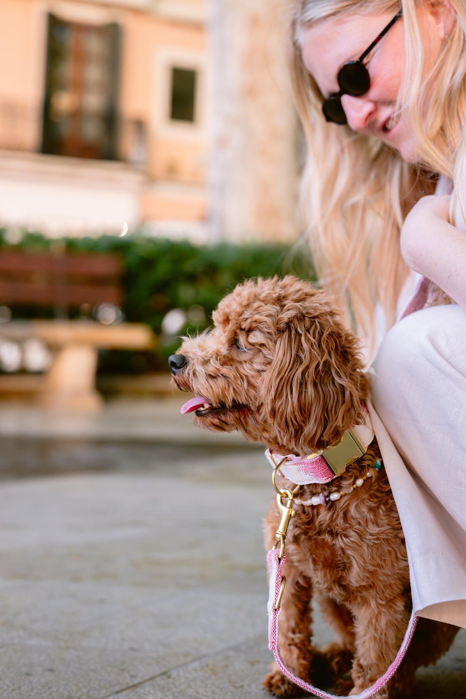 Pintu Leash & Collar Alma Berry