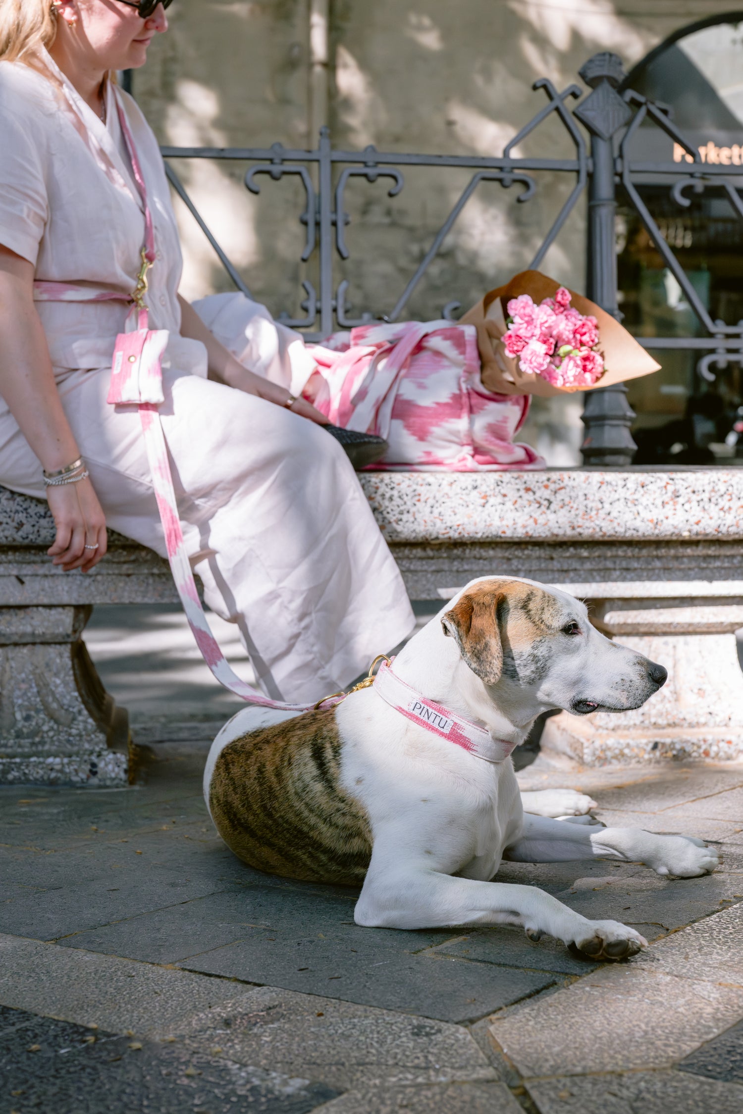Pintu Leash & Collar Alma Berry