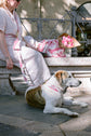 Pintu Leash & Collar Alma Berry