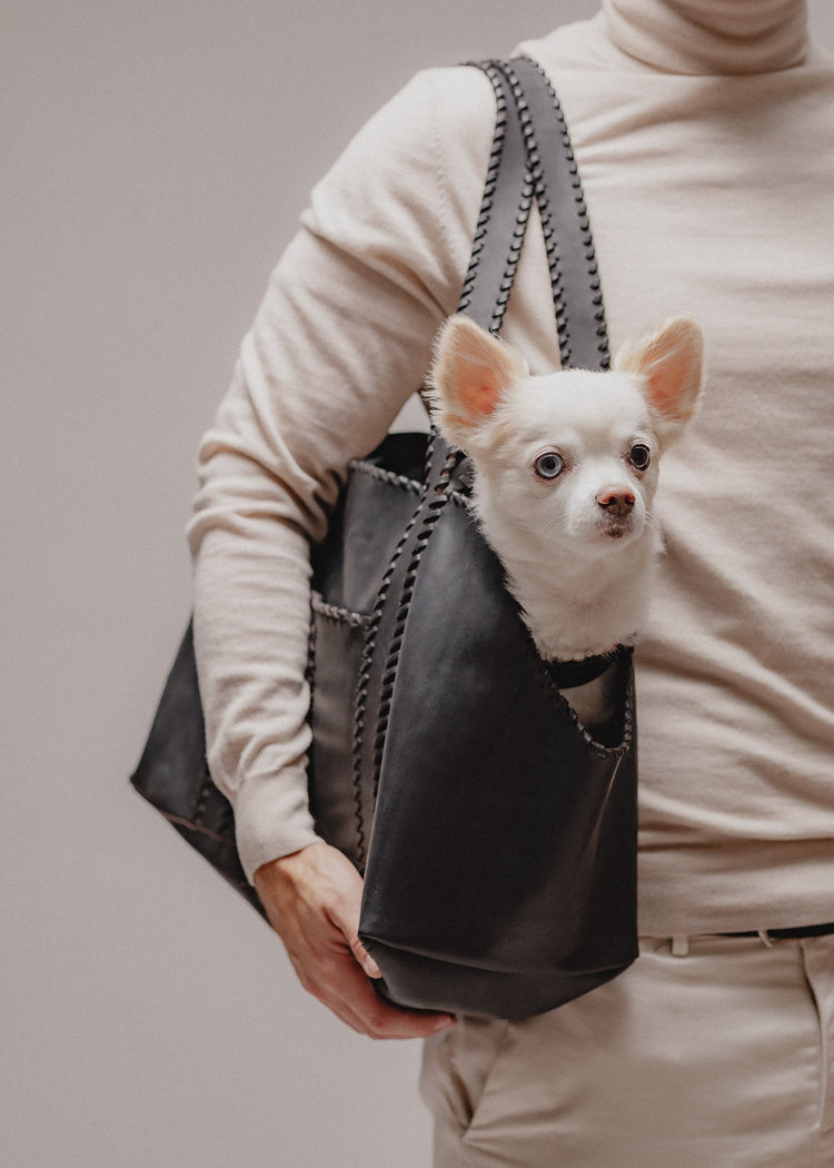 Pintu Solsticio Dog Shopper Black Mood