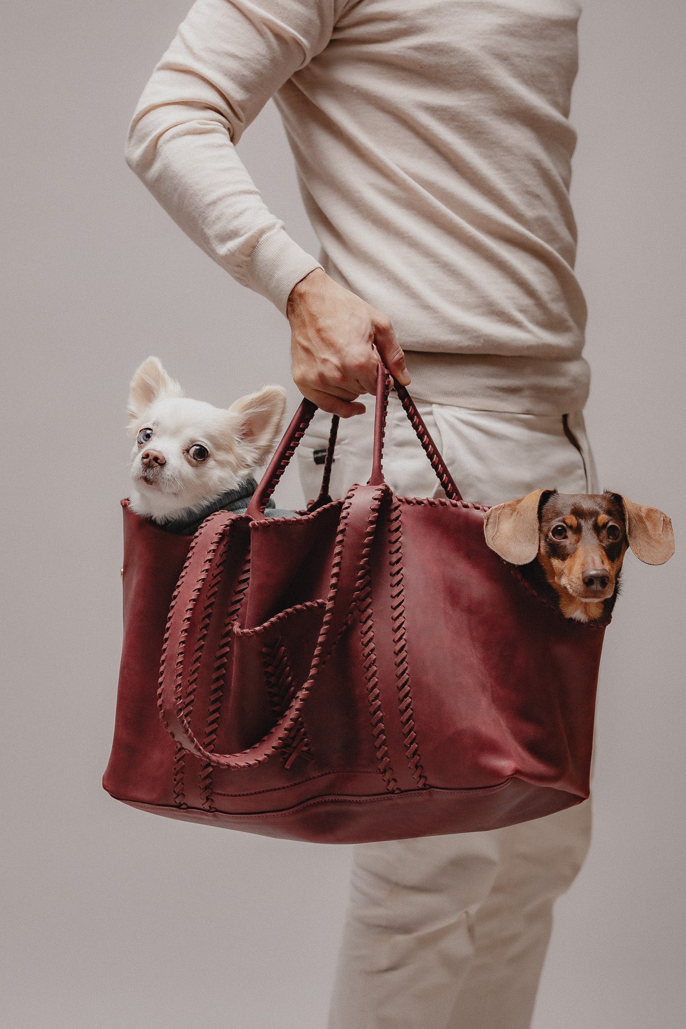 Pintu Solsticio Dog Shopper Cherry Mood