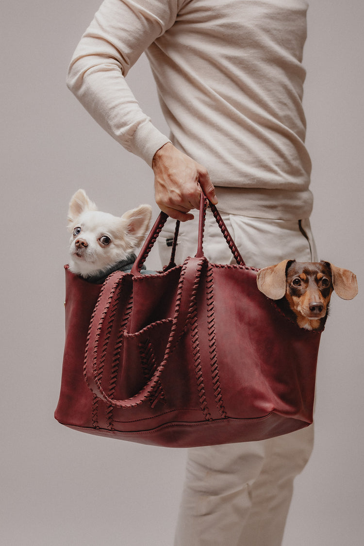 Pintu Solsticio Dog Shopper Cherry Mood