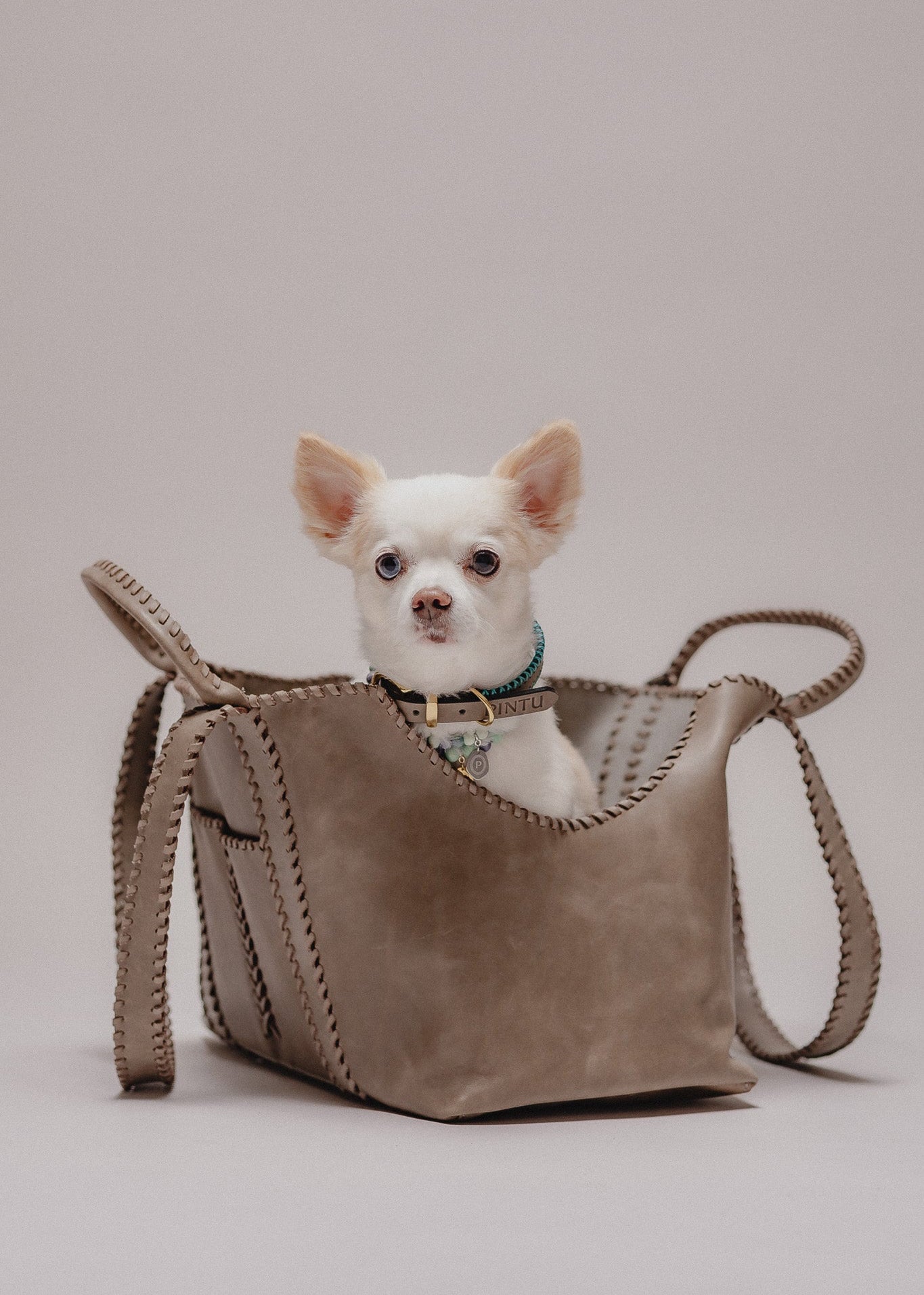 Pintu Solsticio Dog Shopper Grey Mood