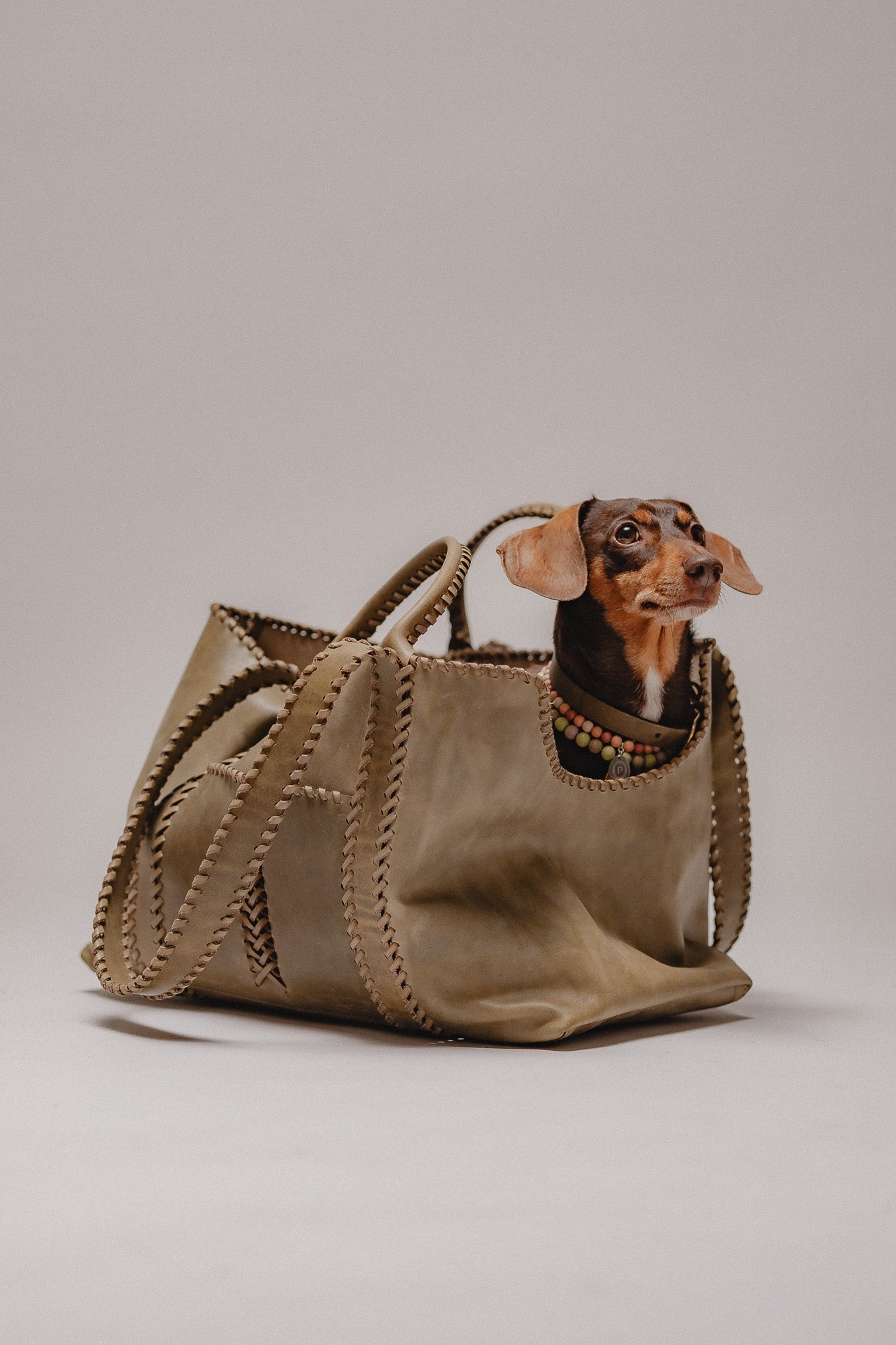 Pintu Solsticio Dog Shopper Olive Mood