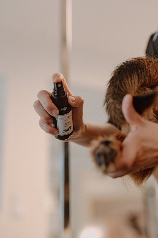 Repairing Paw Spray Pintu