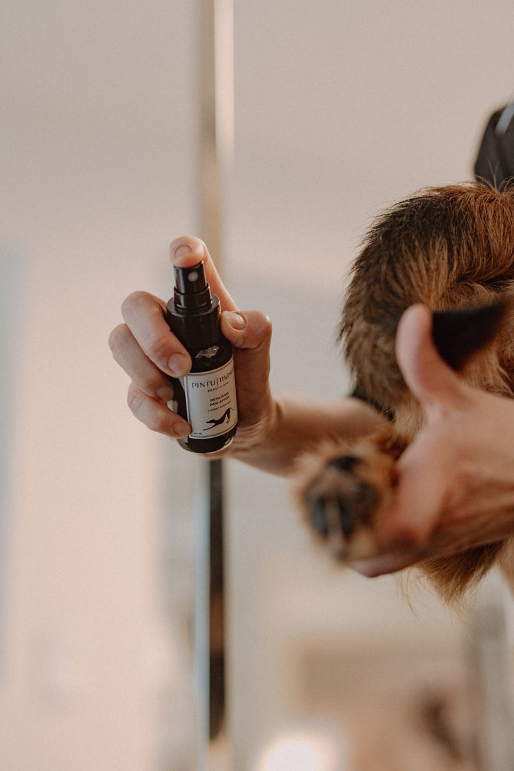 Repairing Paw Spray Pintu