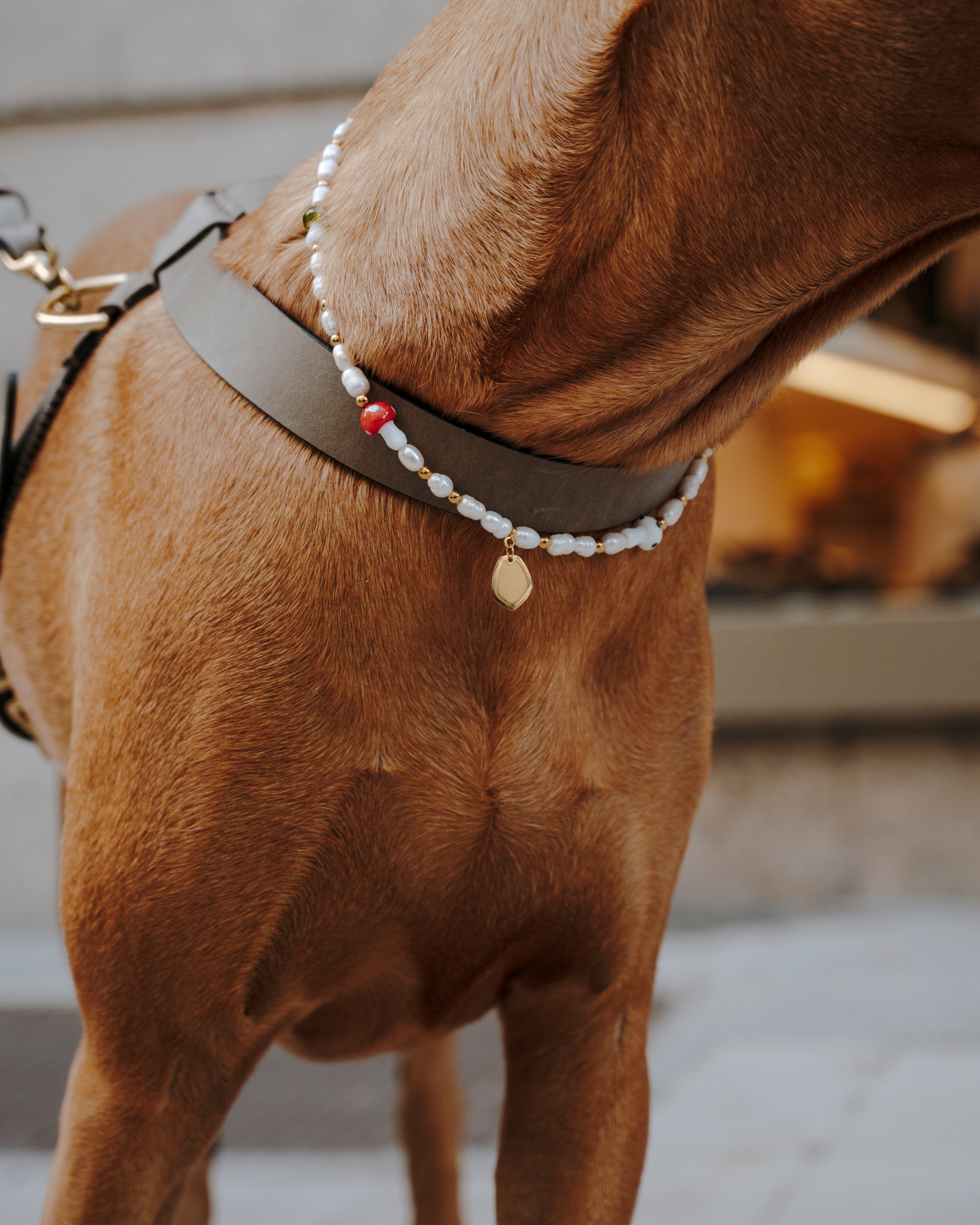 Pintu Studio 54 Dog Chain