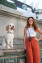 Dog Leash Tierra - Brown