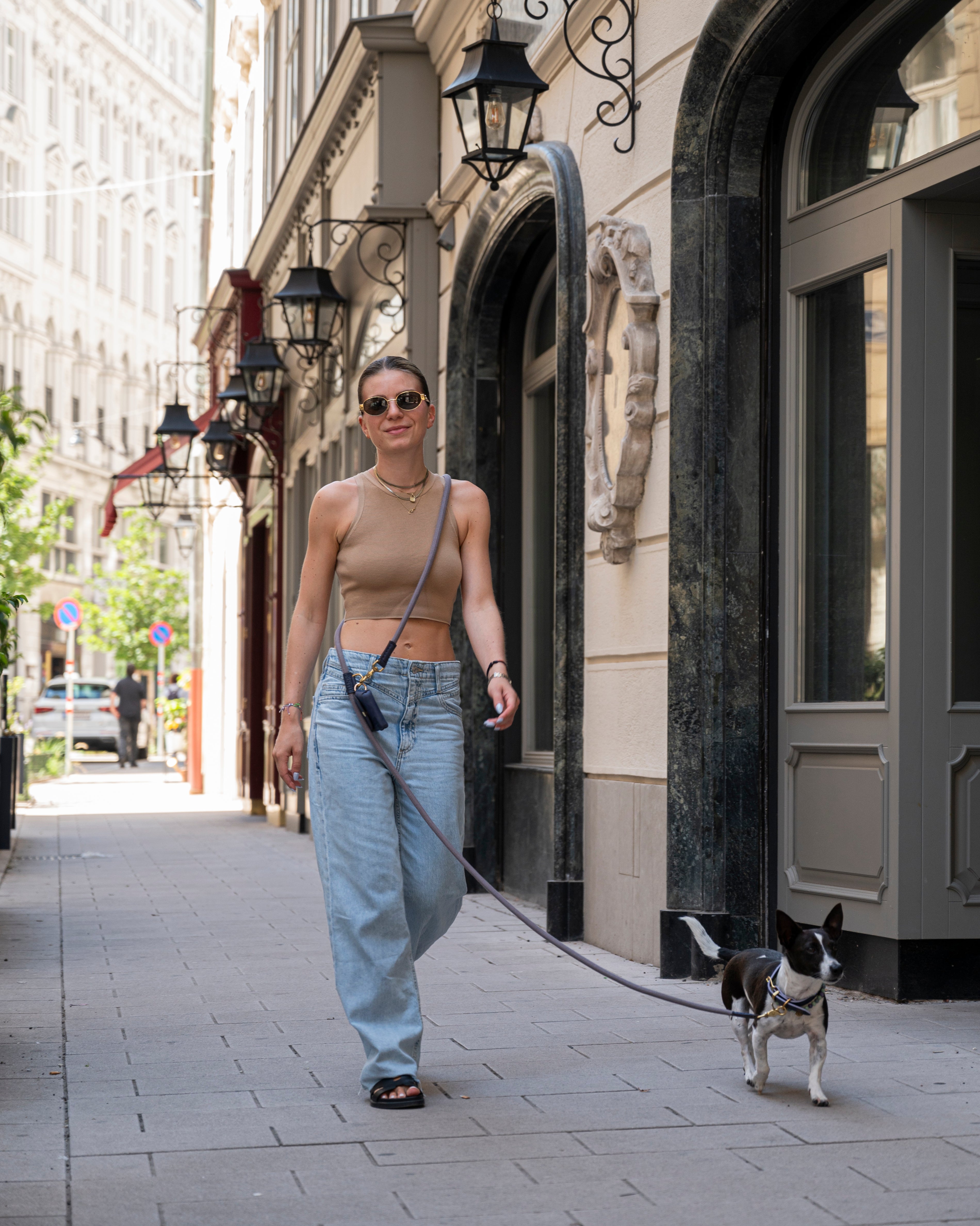 Dog Leash Tierra - Grey