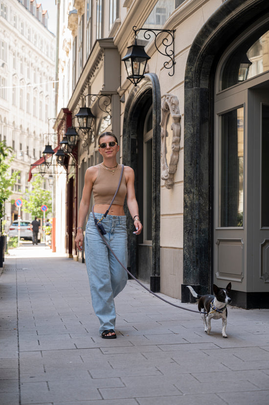Dog Leash Tierra - Grey
