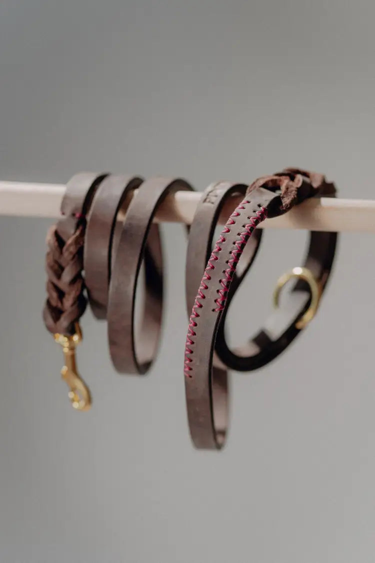 Leashes