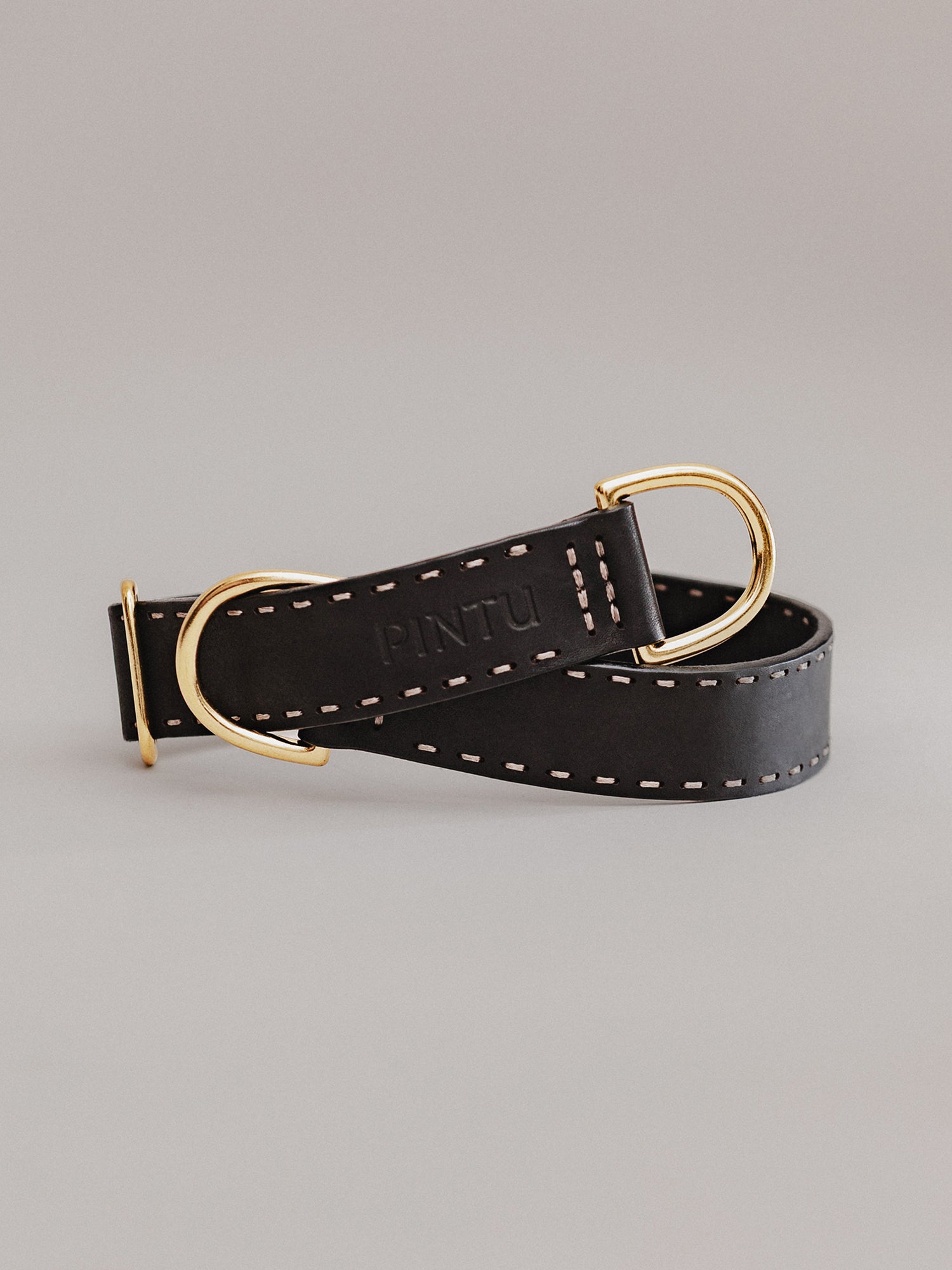Pintu Dog Collar Bosque - Black - Brass