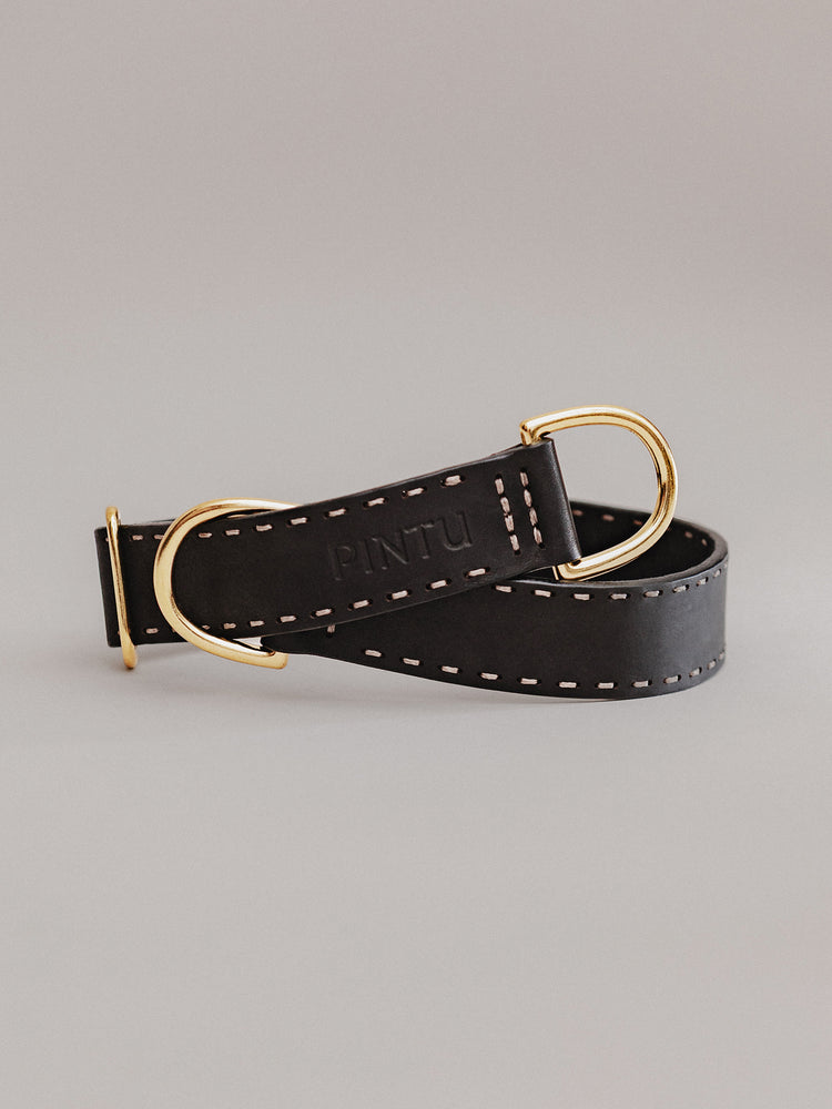 Pintu Dog Collar Bosque - Black - Brass