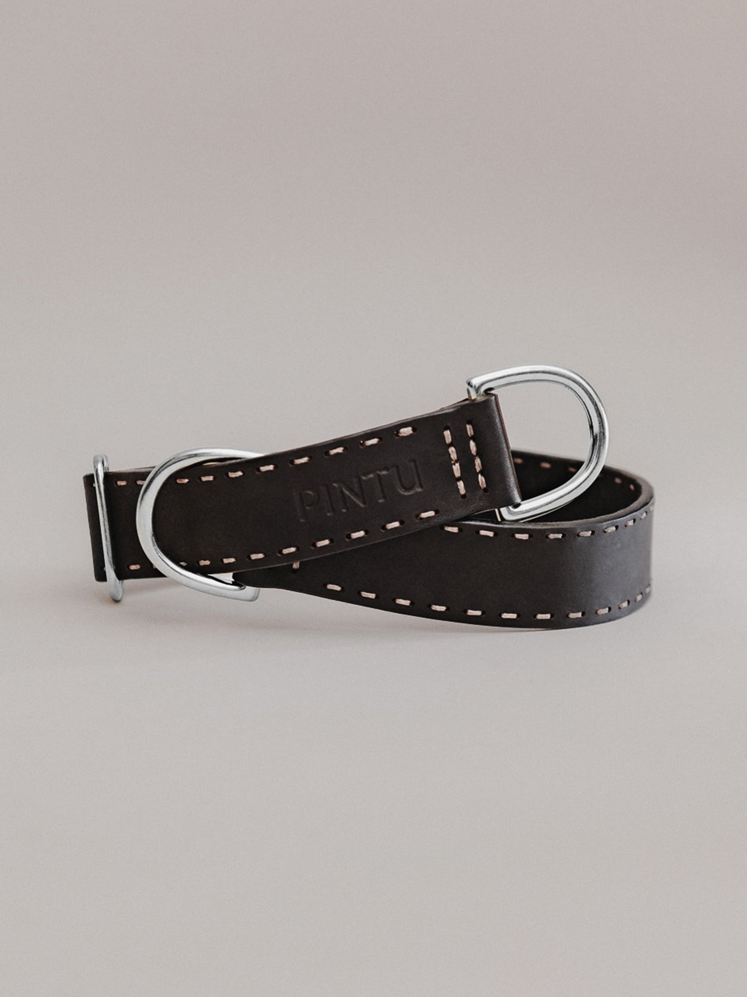 Pintu Dog Collar Bosque - Black - Stainless Steel