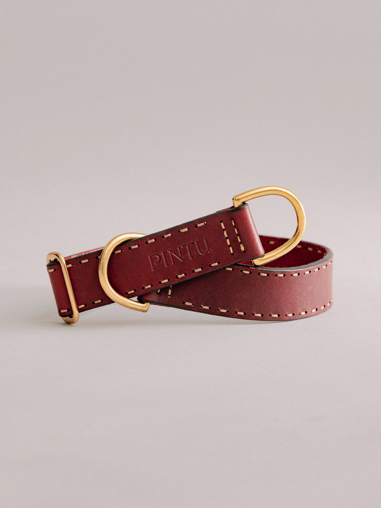 Pintu Dog Collar Bosque - Cherry - Brass