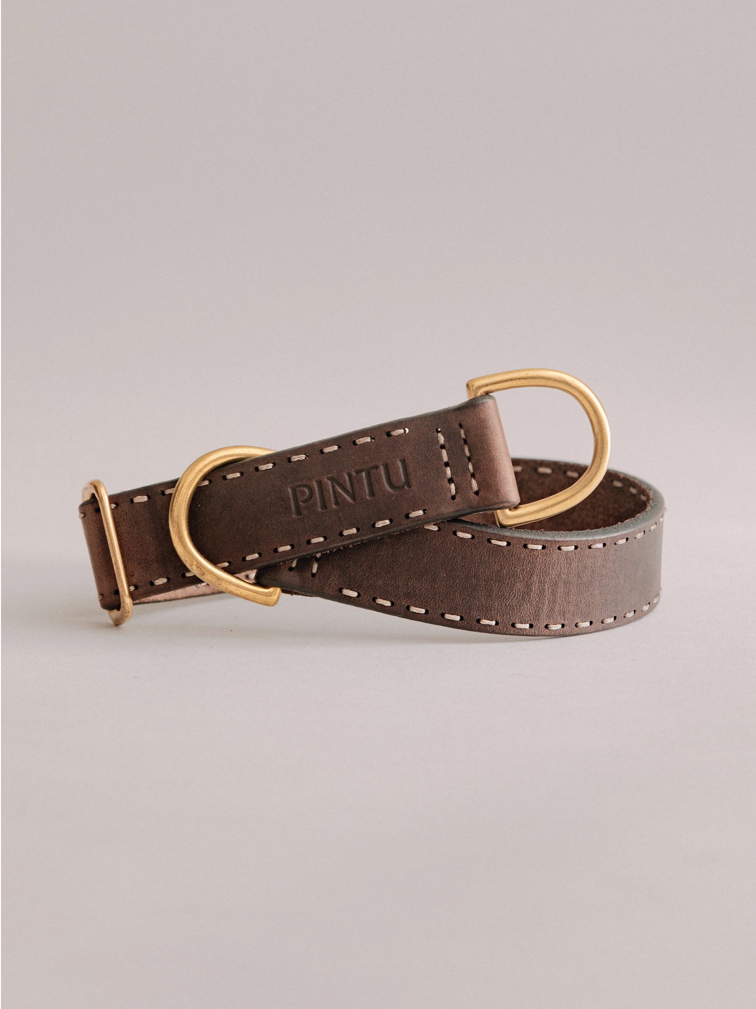 Pintu Dog Collar Bosque - Chocolate - Brass